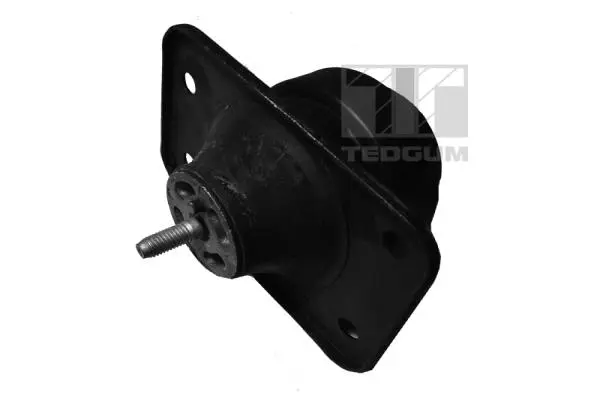 окачване, двигател TEDGUM              