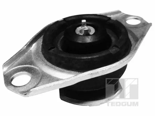 окачване, двигател TEDGUM              