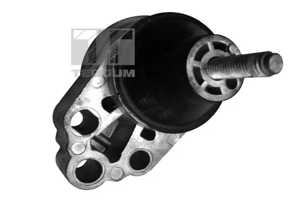 окачване, двигател TEDGUM              