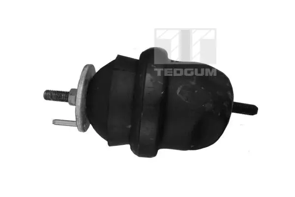 окачване, двигател TEDGUM              