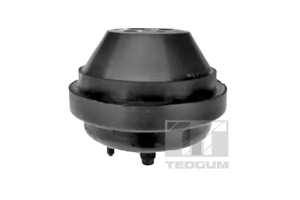 окачване, двигател TEDGUM              