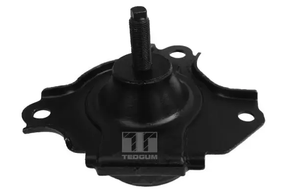 окачване, двигател TEDGUM              