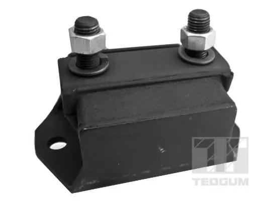 окачване, двигател TEDGUM              