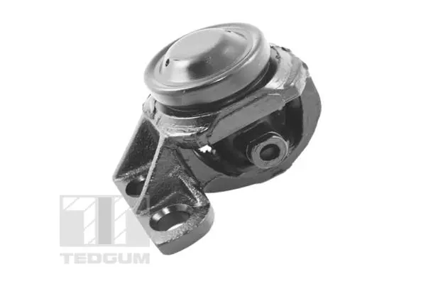 окачване, двигател TEDGUM              