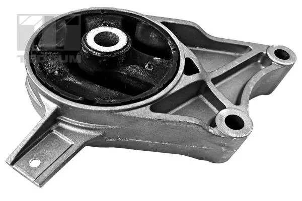 окачване, двигател TEDGUM              