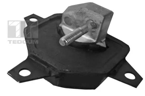 окачване, двигател TEDGUM              