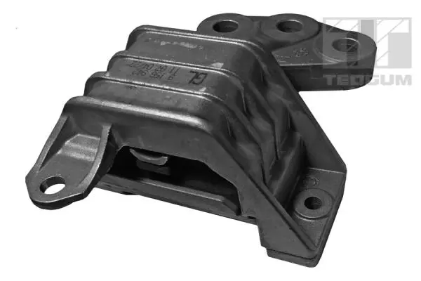 окачване, двигател TEDGUM              