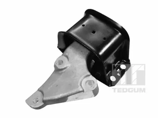 окачване, двигател TEDGUM              