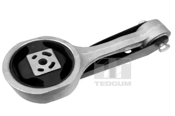 окачване, двигател TEDGUM              