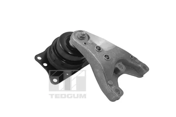 окачване, двигател TEDGUM              