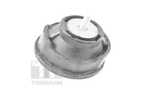 окачване, двигател TEDGUM              