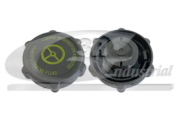 О-пръстен, пробка - сервопомпа 3RG                 