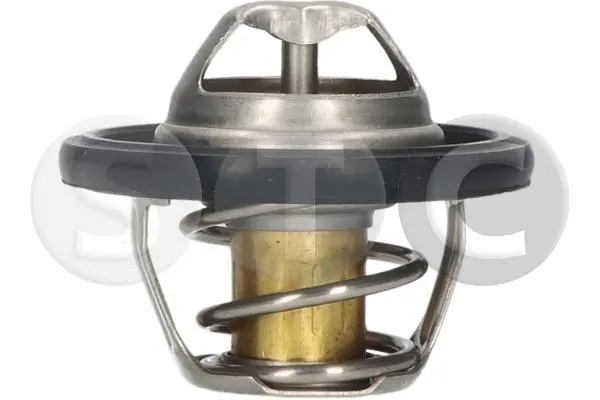 термостат, охладителна течност STC                 