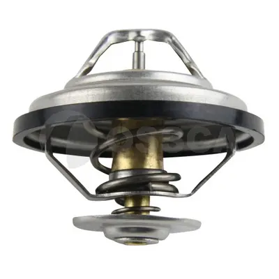 термостат, охладителна течност OSSCA               