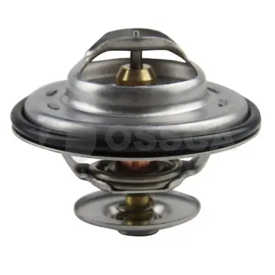 термостат, охладителна течност OSSCA               