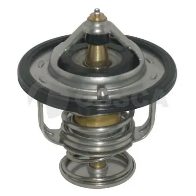 термостат, охладителна течност OSSCA               