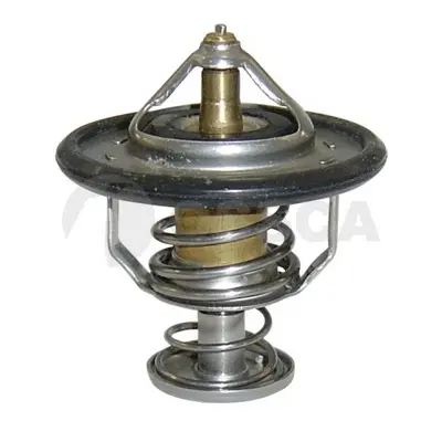 термостат, охладителна течност OSSCA               