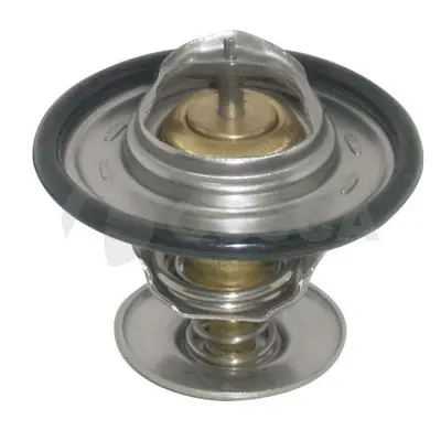 термостат, охладителна течност OSSCA               