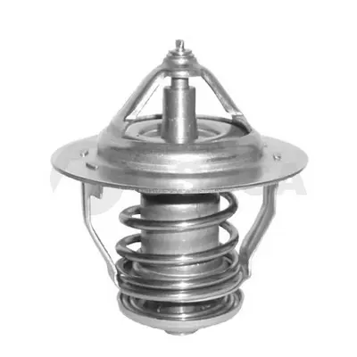 термостат, охладителна течност OSSCA               