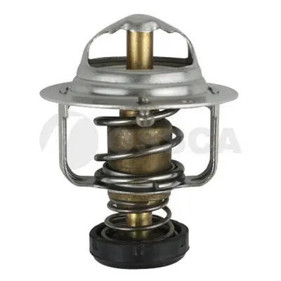 термостат, охладителна течност OSSCA               