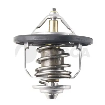 термостат, охладителна течност OSSCA               