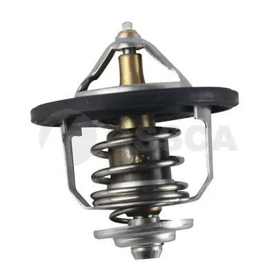 термостат, охладителна течност OSSCA               