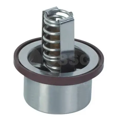 термостат, охладителна течност OSSCA               