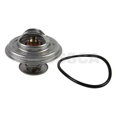 термостат, охладителна течност OSSCA               