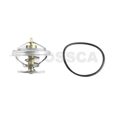 термостат, охладителна течност OSSCA               