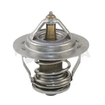 термостат, охладителна течност OSSCA               