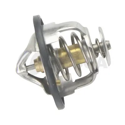 термостат, охладителна течност OSSCA               