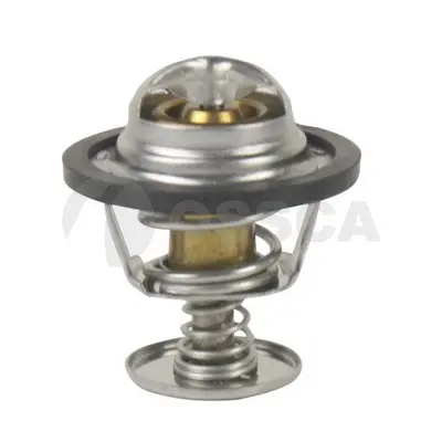 термостат, охладителна течност OSSCA               