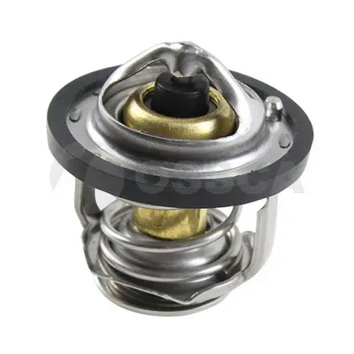 термостат, охладителна течност OSSCA               