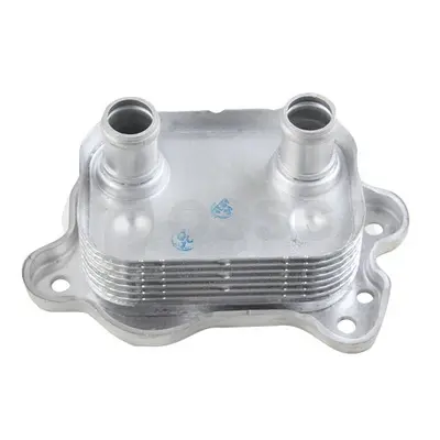 маслен радиатор, двигателно масло OSSCA               