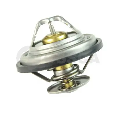 термостат, охладителна течност OSSCA               