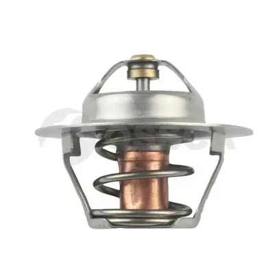 термостат, охладителна течност OSSCA               