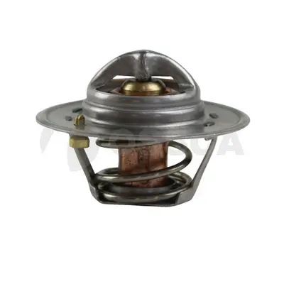 термостат, охладителна течност OSSCA               