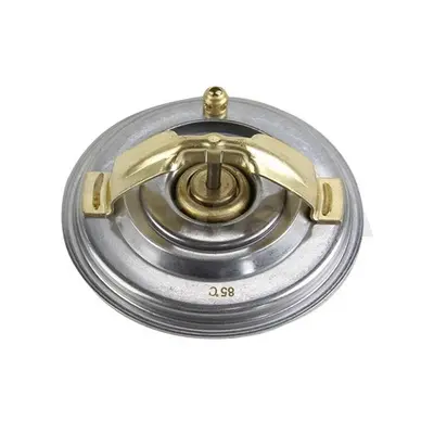 термостат, охладителна течност OSSCA               