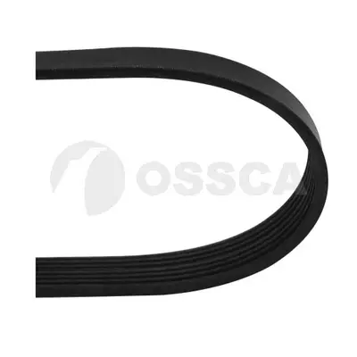 Пистов ремък за NISSAN PRIMASTAR (бордова) платформа/ шаси (X83) 1.9 dCi 80 48636 OSSCA               