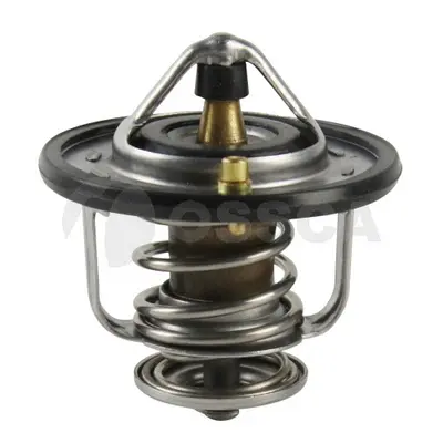 термостат, охладителна течност OSSCA               