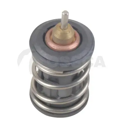 термостат, охладителна течност OSSCA               