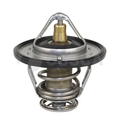 термостат, охладителна течност OSSCA               