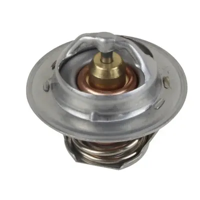 термостат, охладителна течност OSSCA               