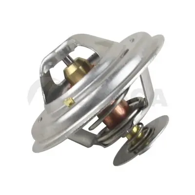 термостат, охладителна течност OSSCA               