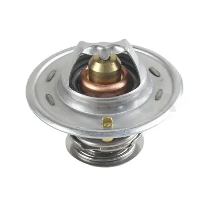 термостат, охладителна течност OSSCA               