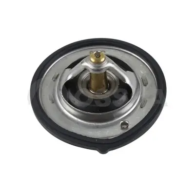 термостат, охладителна течност OSSCA               