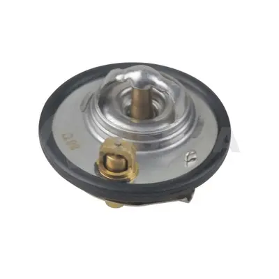 термостат, охладителна течност OSSCA               