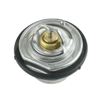 термостат, охладителна течност OSSCA               