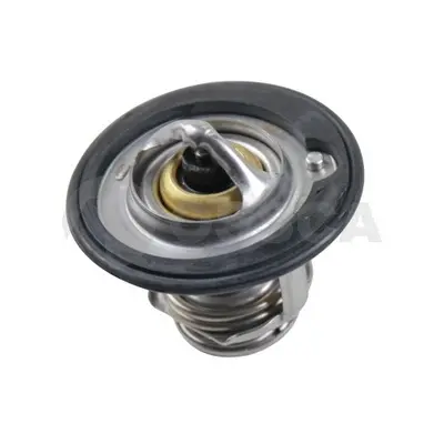 термостат, охладителна течност OSSCA               