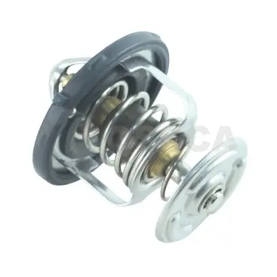 термостат, охладителна течност OSSCA               